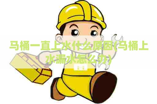 马桶一直上水什么原因(马桶上水漏水怎么办) 马桶一直上水什么原因(马桶上水漏水怎么办)