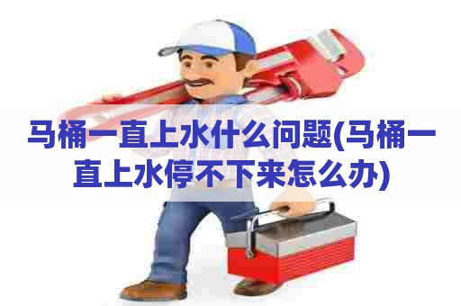 马桶一直上水什么问题(马桶一直上水停不下来怎么办) 马桶一直上水什么问题(马桶一直上水停不下来怎么办)