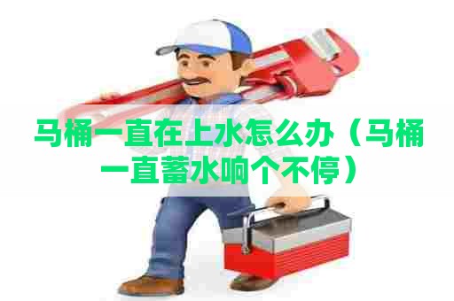 马桶一直在上水怎么办(马桶一直蓄水响个不停) 马桶一直在上水怎么办(马桶一直蓄水响个不停)