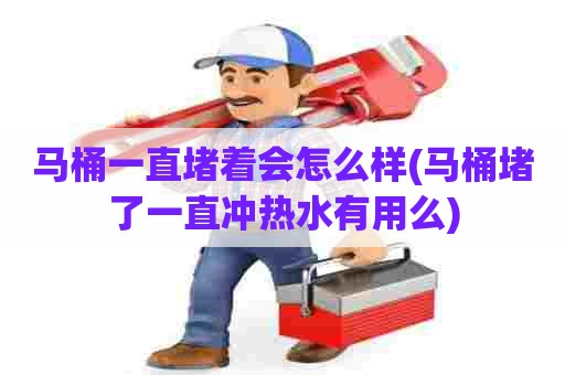 马桶一直堵着会怎么样(马桶堵了一直冲热水有用么)