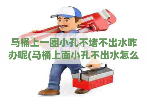 马桶上一圈小孔不堵不出水咋办呢(马桶上面小孔不出水怎么办)