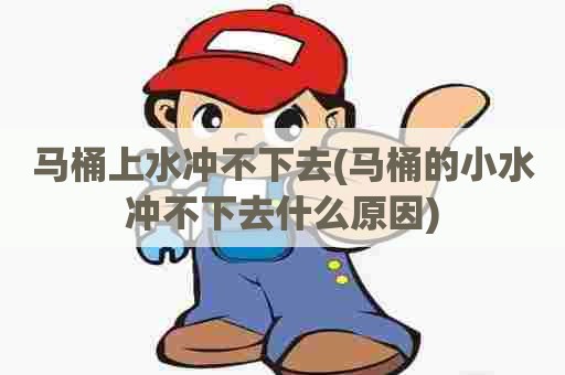 马桶上水冲不下去(马桶的小水冲不下去什么原因)