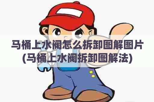马桶上水阀怎么拆卸图解图片(马桶上水阀拆卸图解法) 马桶上水阀怎么拆卸图解图片(马桶上水阀拆卸图解法)