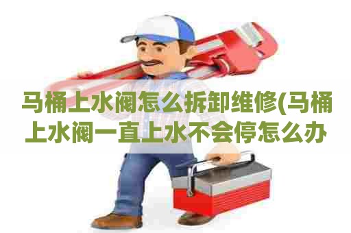 马桶上水阀怎么拆卸维修(马桶上水阀一直上水不会停怎么办)