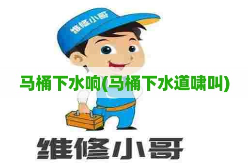 马桶下水响(马桶下水道啸叫)