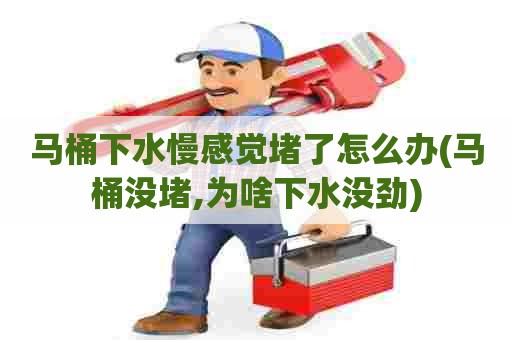 马桶下水慢感觉堵了怎么办(马桶没堵,为啥下水没劲) 马桶下水慢感觉堵了怎么办(马桶没堵,为啥下水没劲)