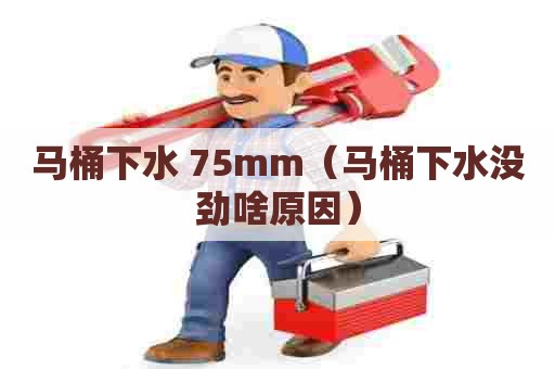 马桶下水 75mm（马桶下水没劲啥原因）