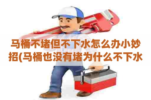 马桶不堵但不下水怎么办小妙招(马桶也没有堵为什么不下水呢) 马桶不堵但不下水怎么办小妙招(马桶也没有堵为什么不下水呢)