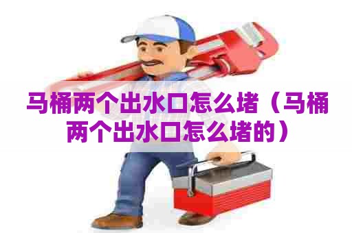 马桶两个出水口怎么堵(马桶两个出水口怎么堵的) 马桶两个出水口怎么堵(马桶两个出水口怎么堵的)