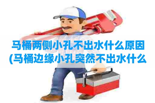 马桶两侧小孔不出水什么原因(马桶边缘小孔突然不出水什么原因)