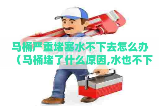 马桶严重堵塞水不下去怎么办（马桶堵了什么原因,水也不下去）