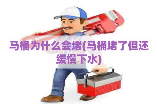 马桶为什么会堵(马桶堵了但还缓慢下水) 马桶为什么会堵(马桶堵了但还缓慢下水)