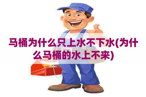 马桶为什么只上水不下水(为什么马桶的水上不来)