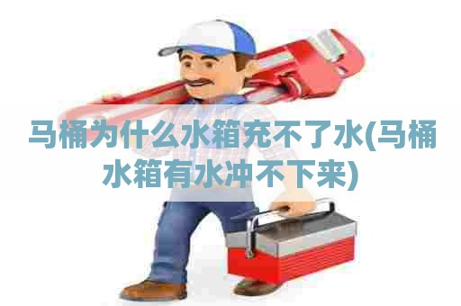 马桶为什么水箱充不了水(马桶水箱有水冲不下来)