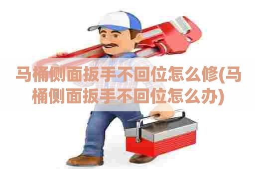 马桶侧面扳手不回位怎么修(马桶侧面扳手不回位怎么办)