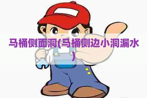 马桶侧面洞(马桶侧边小洞漏水) 马桶侧面洞(马桶侧边小洞漏水)