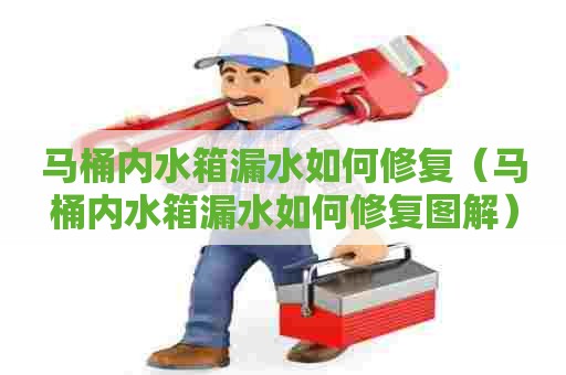 马桶内水箱漏水如何修复(马桶内水箱漏水如何修复图解) 马桶内水箱漏水如何修复(马桶内水箱漏水如何修复图解)