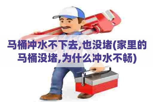 马桶冲水不下去,也没堵(家里的马桶没堵,为什么冲水不畅) 马桶冲水不下去,也没堵(家里的马桶没堵,为什么冲水不畅)