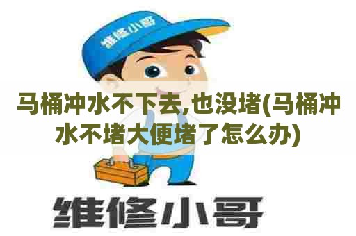 马桶冲水不下去,也没堵(马桶冲水不堵大便堵了怎么办) 马桶冲水不下去,也没堵(马桶冲水不堵大便堵了怎么办)