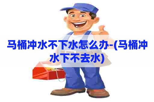 马桶冲水不下水怎么办-(马桶冲水下不去水)