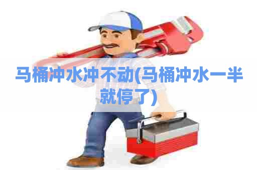 马桶冲水冲不动(马桶冲水一半就停了)