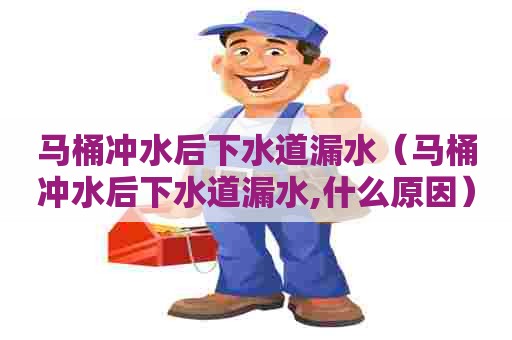 马桶冲水后下水道漏水（马桶冲水后下水道漏水,什么原因）