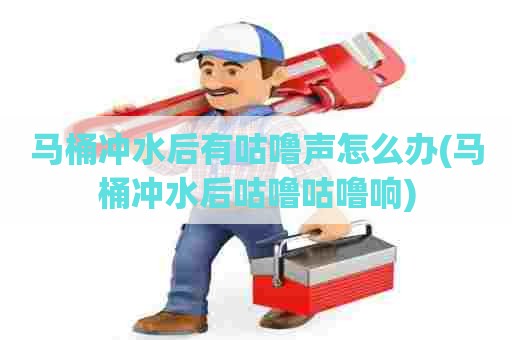 马桶冲水后有咕噜声怎么办(马桶冲水后咕噜咕噜响) 马桶冲水后有咕噜声怎么办(马桶冲水后咕噜咕噜响)