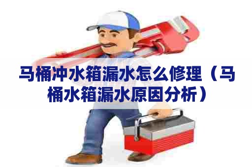 马桶冲水箱漏水怎么修理（马桶水箱漏水原因分析）