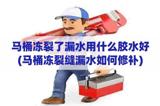 马桶冻裂了漏水用什么胶水好(马桶冻裂缝漏水如何修补) 马桶冻裂了漏水用什么胶水好(马桶冻裂缝漏水如何修补)