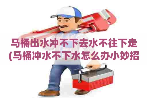 马桶出水冲不下去水不往下走(马桶冲水不下水怎么办小妙招) 马桶出水冲不下去水不往下走(马桶冲水不下水怎么办小妙招)