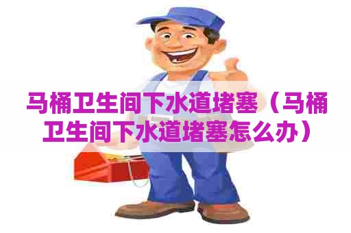 马桶卫生间下水道堵塞(马桶卫生间下水道堵塞怎么办) 马桶卫生间下水道堵塞(马桶卫生间下水道堵塞怎么办)