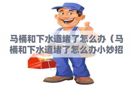 马桶和下水道堵了怎么办（马桶和下水道堵了怎么办小妙招）