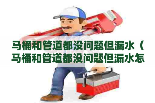 马桶和管道都没问题但漏水（马桶和管道都没问题但漏水怎么办）