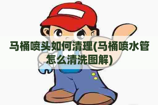 马桶喷头如何清理(马桶喷水管怎么清洗图解)