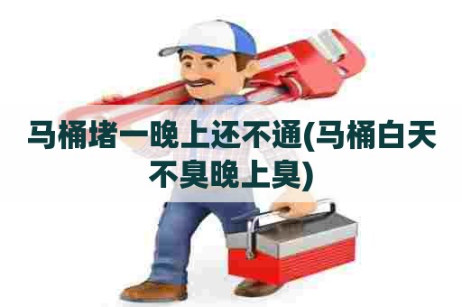 马桶堵一晚上还不通(马桶白天不臭晚上臭) 马桶堵一晚上还不通(马桶白天不臭晚上臭)