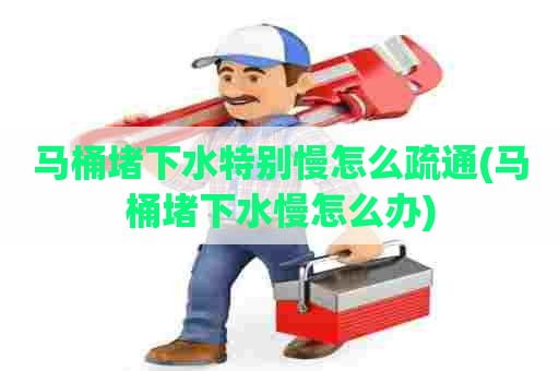 马桶堵下水特别慢怎么疏通(马桶堵下水慢怎么办) 马桶堵下水特别慢怎么疏通(马桶堵下水慢怎么办)