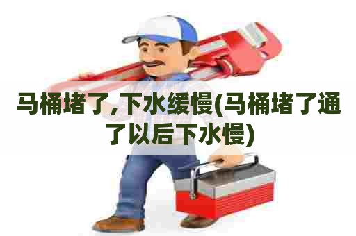 马桶堵了,下水缓慢(马桶堵了通了以后下水慢)