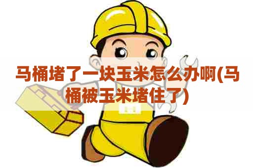 马桶堵了一块玉米怎么办啊(马桶被玉米堵住了)