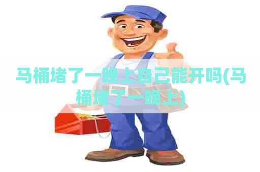 马桶堵了一晚上自己能开吗(马桶堵了一晚上)