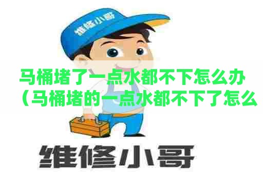 马桶堵了一点水都不下怎么办（马桶堵的一点水都不下了怎么办）