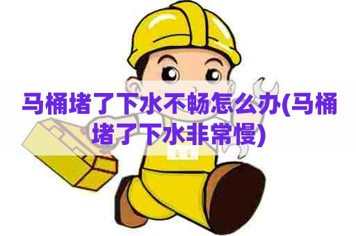 马桶堵了下水不畅怎么办(马桶堵了下水非常慢)