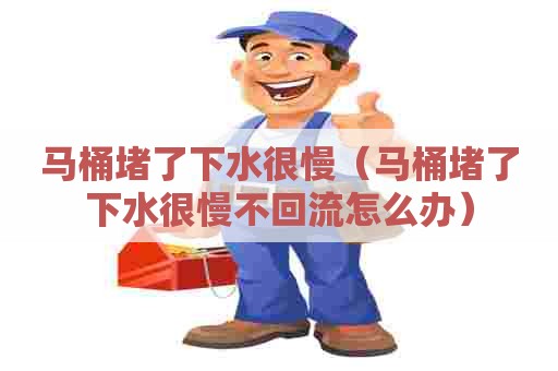 马桶堵了下水很慢（马桶堵了下水很慢不回流怎么办）