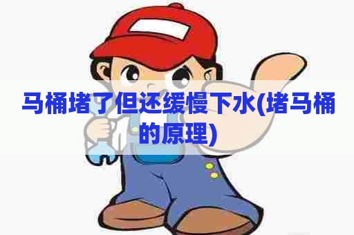 马桶堵了但还缓慢下水(堵马桶的原理)