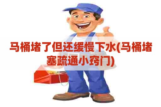 马桶堵了但还缓慢下水(马桶堵塞疏通小窍门)