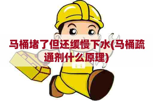 马桶堵了但还缓慢下水(马桶疏通剂什么原理)