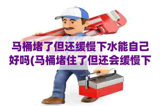 马桶堵了但还缓慢下水能自己好吗(马桶堵住了但还会缓慢下水怎么办) 马桶堵了但还缓慢下水能自己好吗(马桶堵住了但还会缓慢下水怎么办)