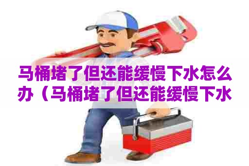 马桶堵了但还能缓慢下水怎么办(马桶堵了但还能缓慢下水怎么办啊) 马桶堵了但还能缓慢下水怎么办(马桶堵了但还能缓慢下水怎么办啊)