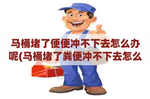 马桶堵了便便冲不下去怎么办呢(马桶堵了粪便冲不下去怎么办) 马桶堵了便便冲不下去怎么办呢(马桶堵了粪便冲不下去怎么办)