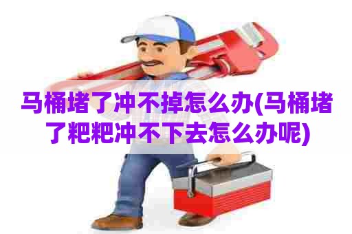 马桶堵了冲不掉怎么办(马桶堵了粑粑冲不下去怎么办呢)