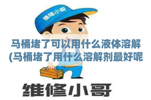 马桶堵了可以用什么液体溶解(马桶堵了用什么溶解剂最好呢)